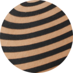 hypnose camel